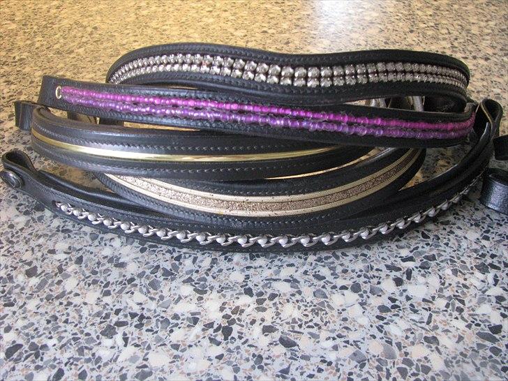 Mit udstyr til hestene. - Endnu 5 forskellige pandebånd. billede 45