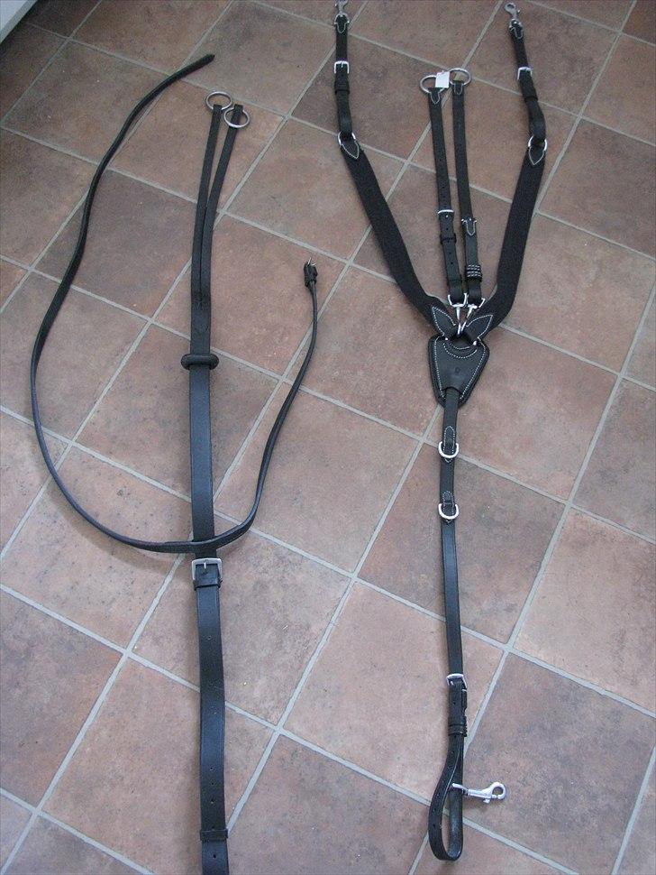 Mit udstyr til hestene. billede 48