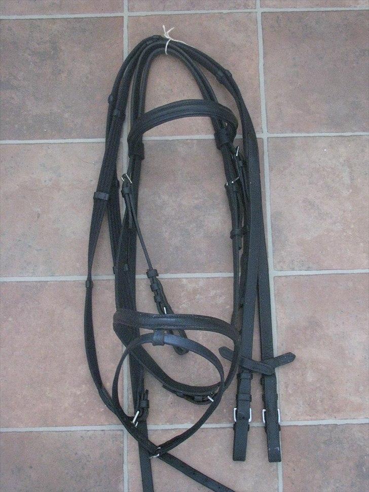 Mit udstyr til hestene. - Sort trense. billede 52