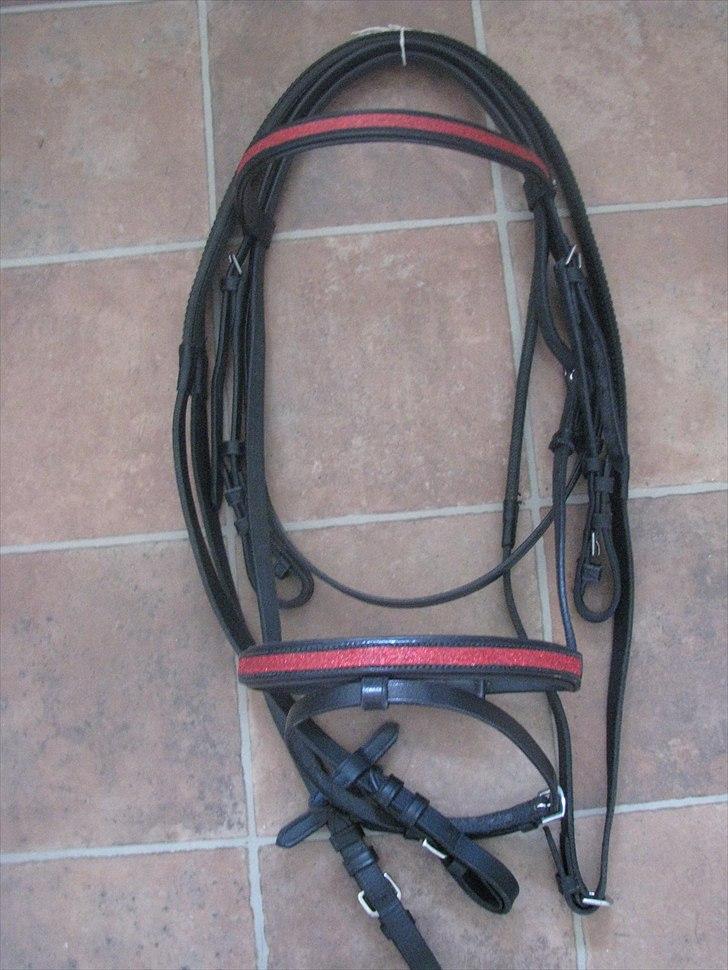 Mit udstyr til hestene. - Sort trense med rød glimmer i pande / næsebånd. billede 51