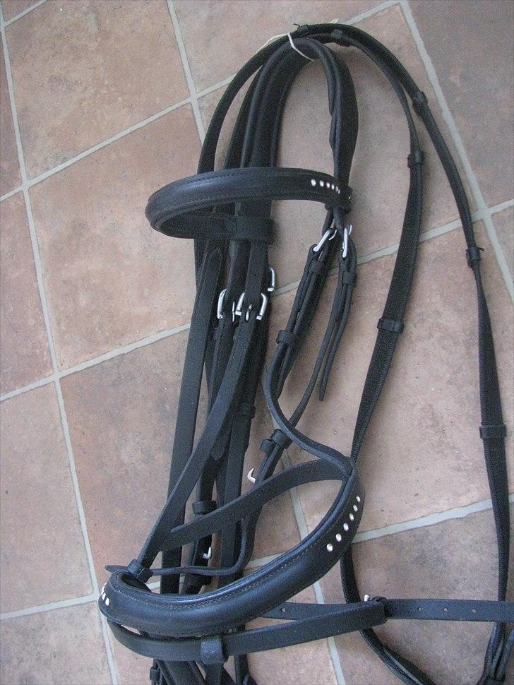 Mit udstyr til hestene. - Sort trense med sten i pande / næsebånd. billede 50