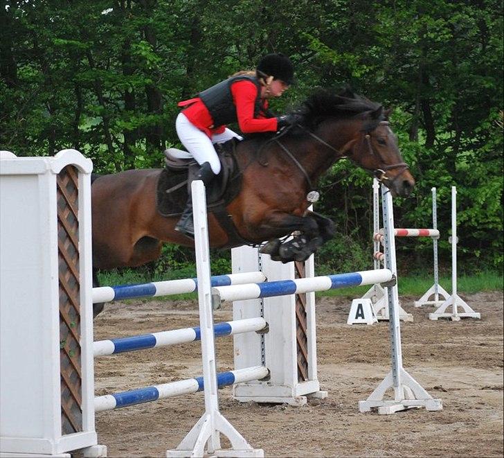 Mig og chrisser til hestestævne i holte billede 32