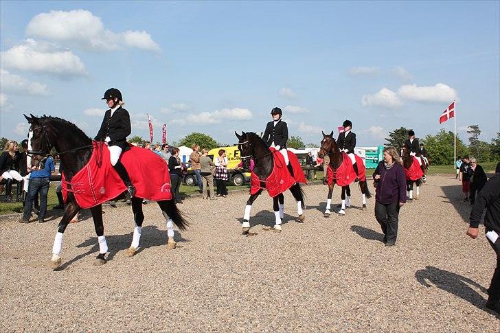 Distriktsmesterskab for hold  distrikt 11/13 billede 2