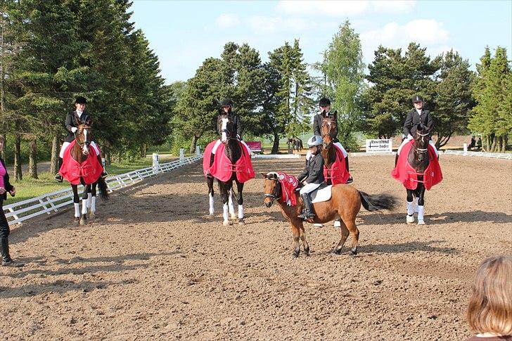 Distriktsmesterskab for hold  distrikt 11/13 billede 5