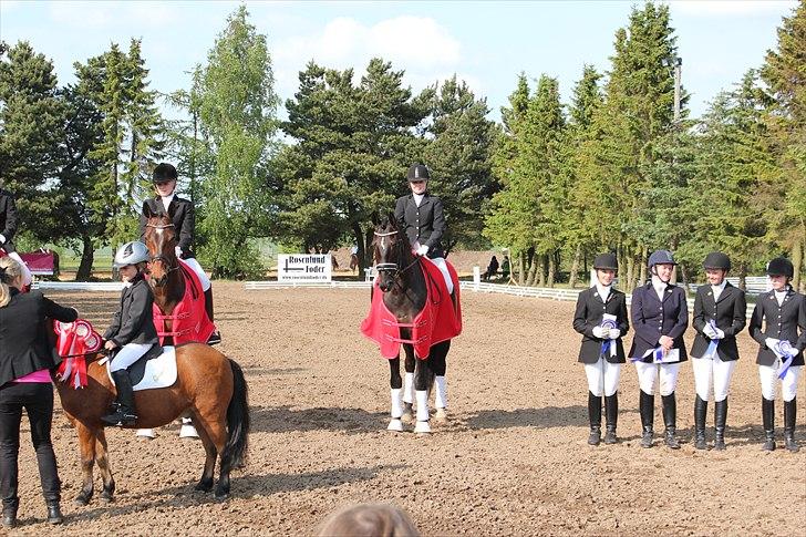 Distriktsmesterskab for hold  distrikt 11/13 billede 6