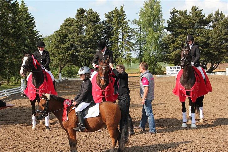 Distriktsmesterskab for hold  distrikt 11/13 billede 7