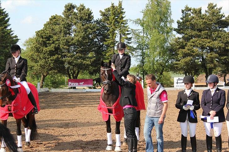 Distriktsmesterskab for hold  distrikt 11/13 billede 9