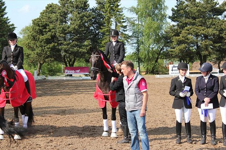 Distriktsmesterskab for hold  distrikt 11/13 billede 10