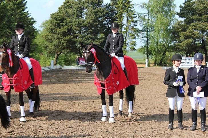 Distriktsmesterskab for hold  distrikt 11/13 billede 11