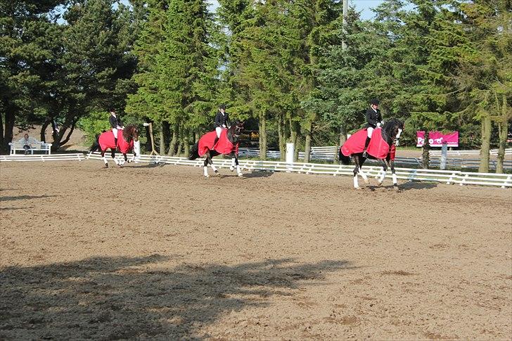 Distriktsmesterskab for hold  distrikt 11/13 billede 12