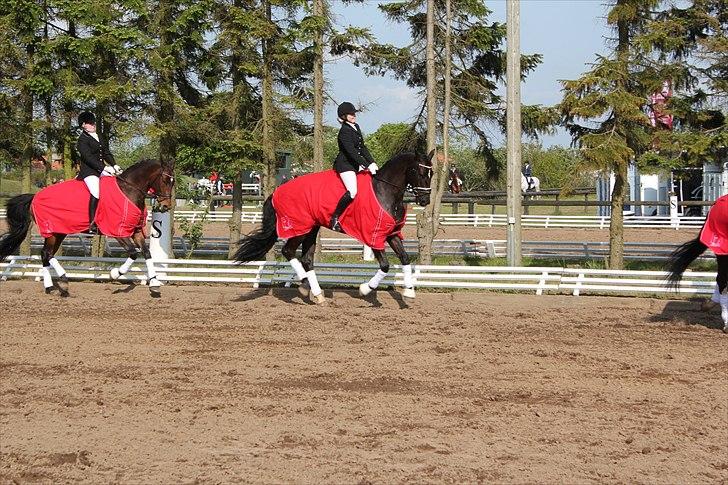 Distriktsmesterskab for hold  distrikt 11/13 billede 13