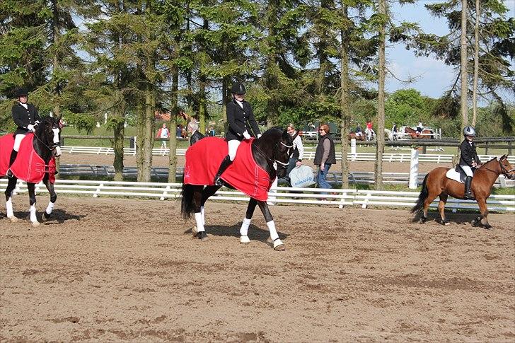 Distriktsmesterskab for hold  distrikt 11/13 billede 14