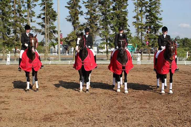 Distriktsmesterskab for hold  distrikt 11/13 billede 16