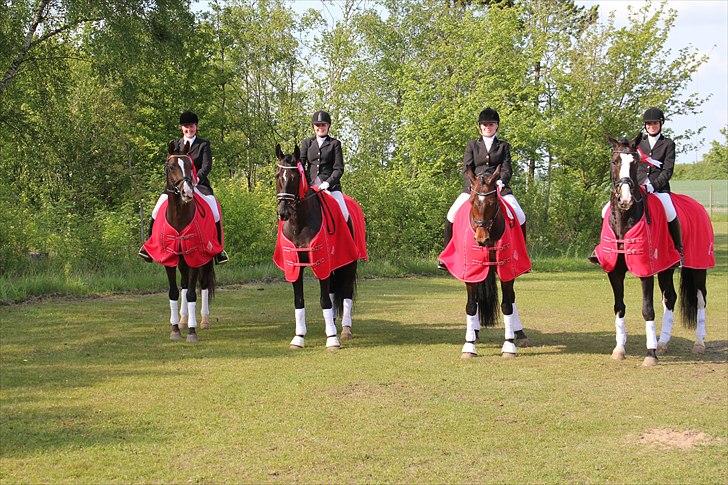 Distriktsmesterskab for hold  distrikt 11/13 - Hele holdet. billede 18