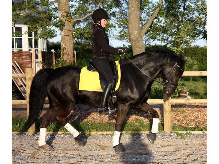 {{currentPhoto.altText}} billede {{currentPhoto.number}}