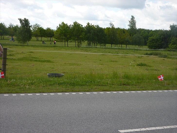 Tillykke Ally! billede 3