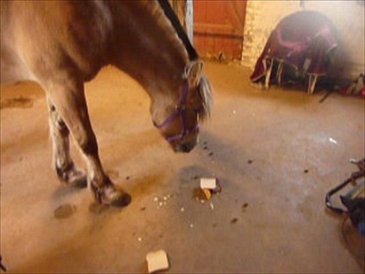 Tillykke Ally! - Kagen var et hit ! Og meget hurtigt væk xD billede 7