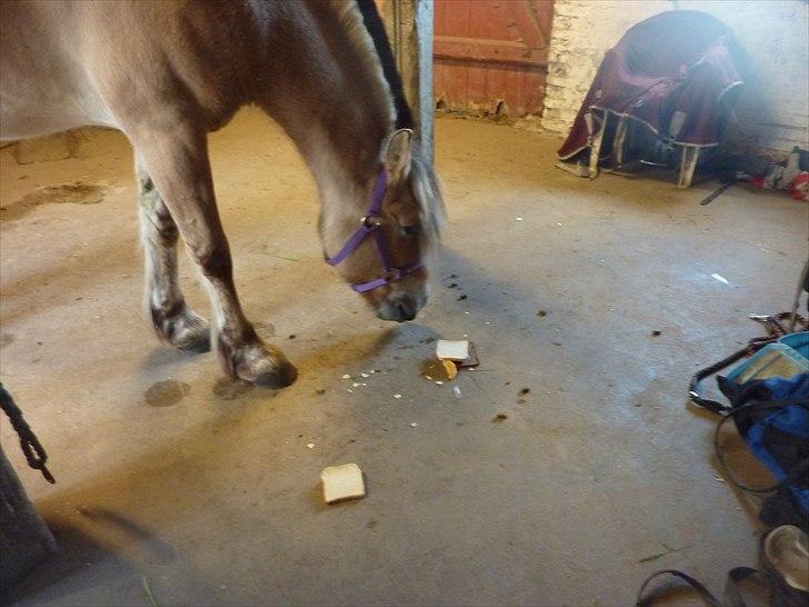 Tillykke Ally! billede 8