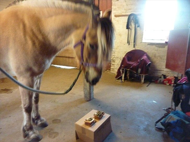 Tillykke Ally! - Jeg vil ha' den nuuuuuu!! billede 10