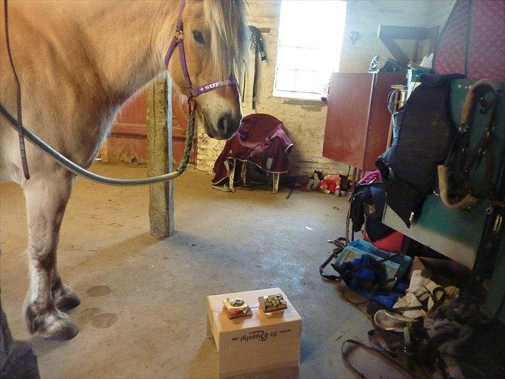 Tillykke Ally! billede 12