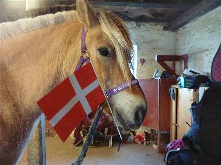 Tillykke Ally! billede 14