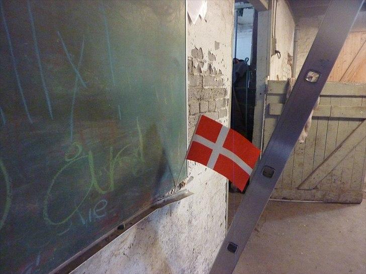 Tillykke Ally! billede 24