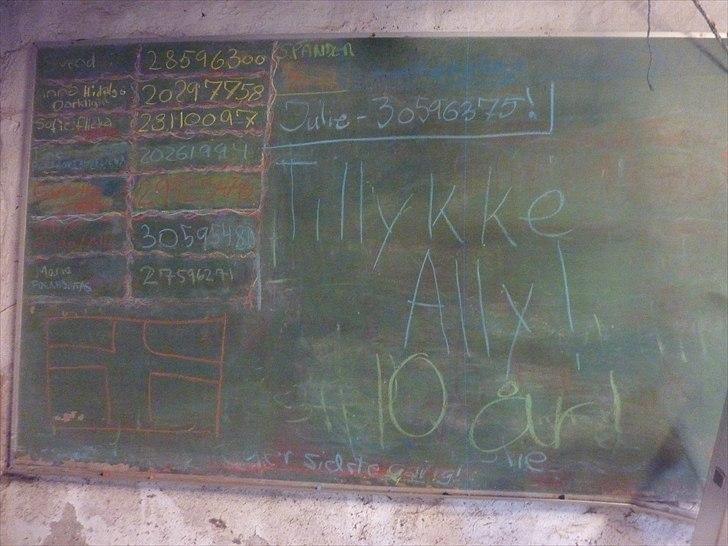 Tillykke Ally! billede 25