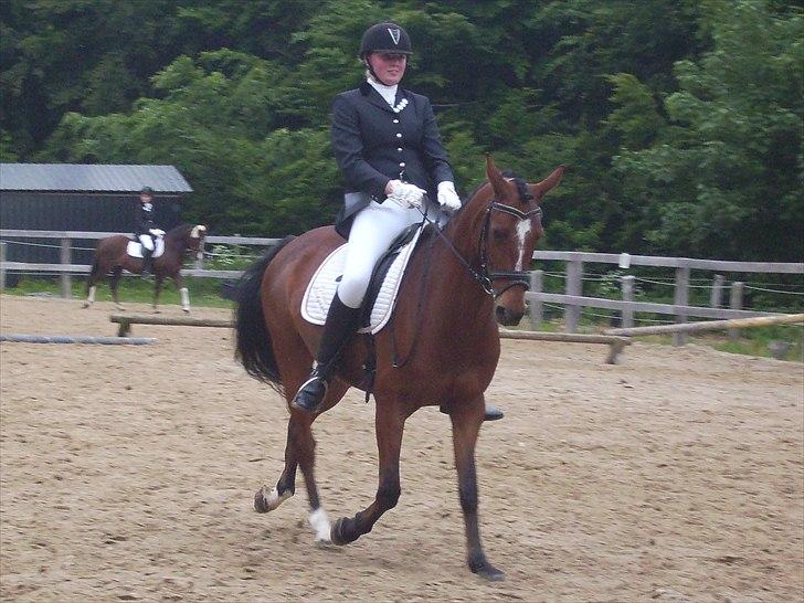 Stævne Ebeltoft Rideklub ;-) billede 1