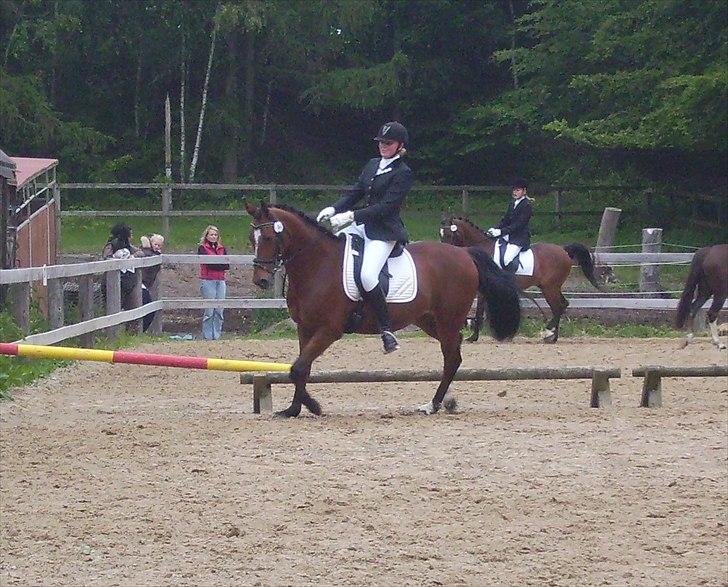 Stævne Ebeltoft Rideklub ;-) billede 3