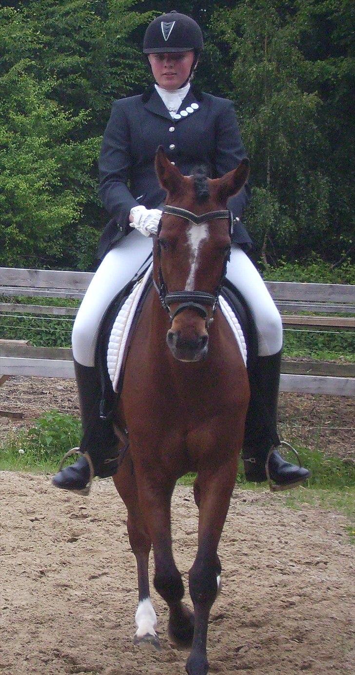 Stævne Ebeltoft Rideklub ;-) billede 4