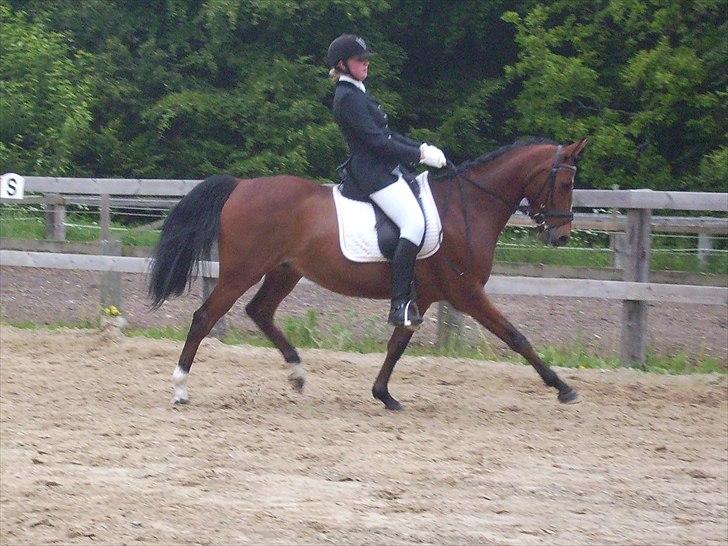 Stævne Ebeltoft Rideklub ;-) billede 5