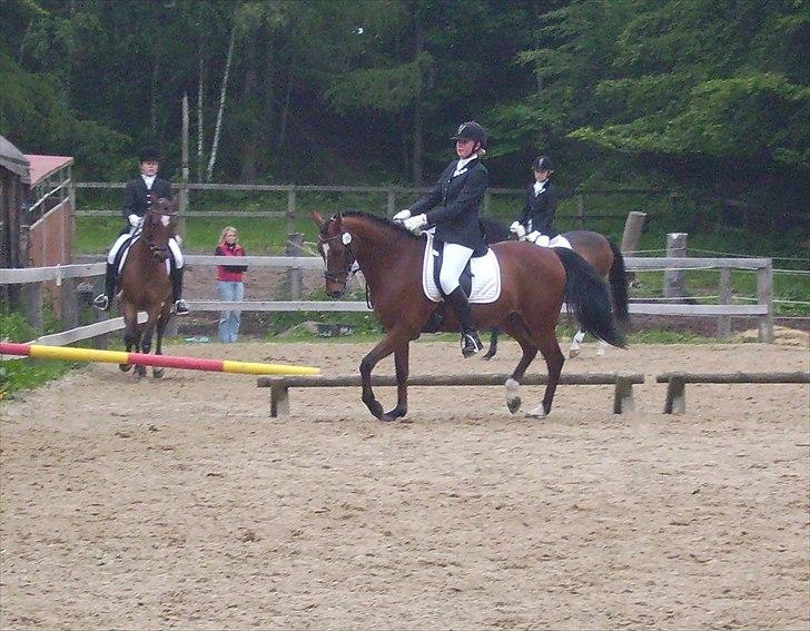 Stævne Ebeltoft Rideklub ;-) billede 6