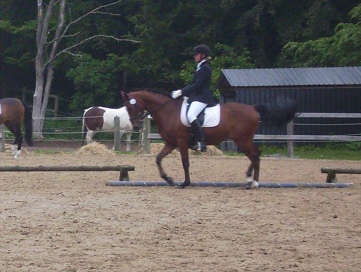 Stævne Ebeltoft Rideklub ;-) billede 7