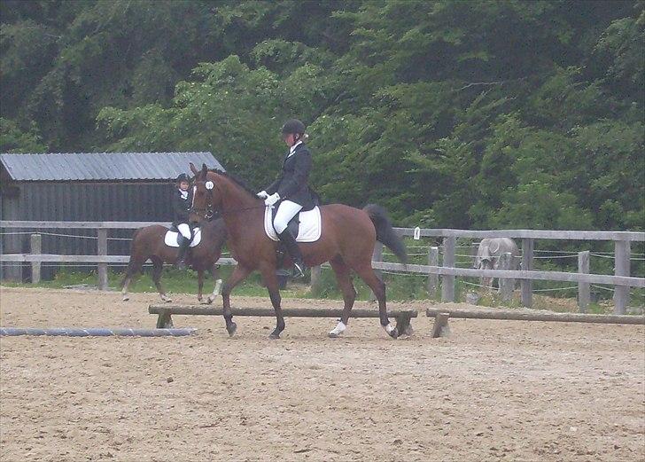 Stævne Ebeltoft Rideklub ;-) billede 8