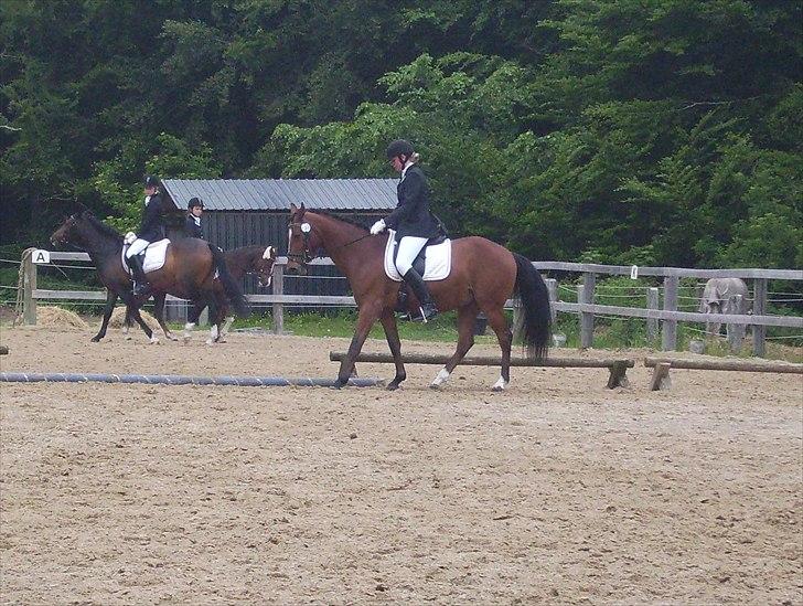 Stævne Ebeltoft Rideklub ;-) billede 9