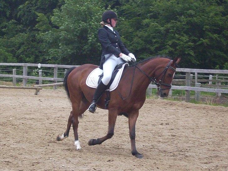 Stævne Ebeltoft Rideklub ;-) billede 10