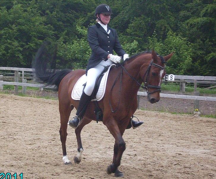 Stævne Ebeltoft Rideklub ;-) billede 11