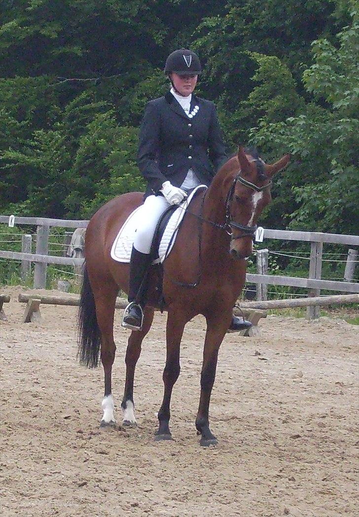 Stævne Ebeltoft Rideklub ;-) billede 12