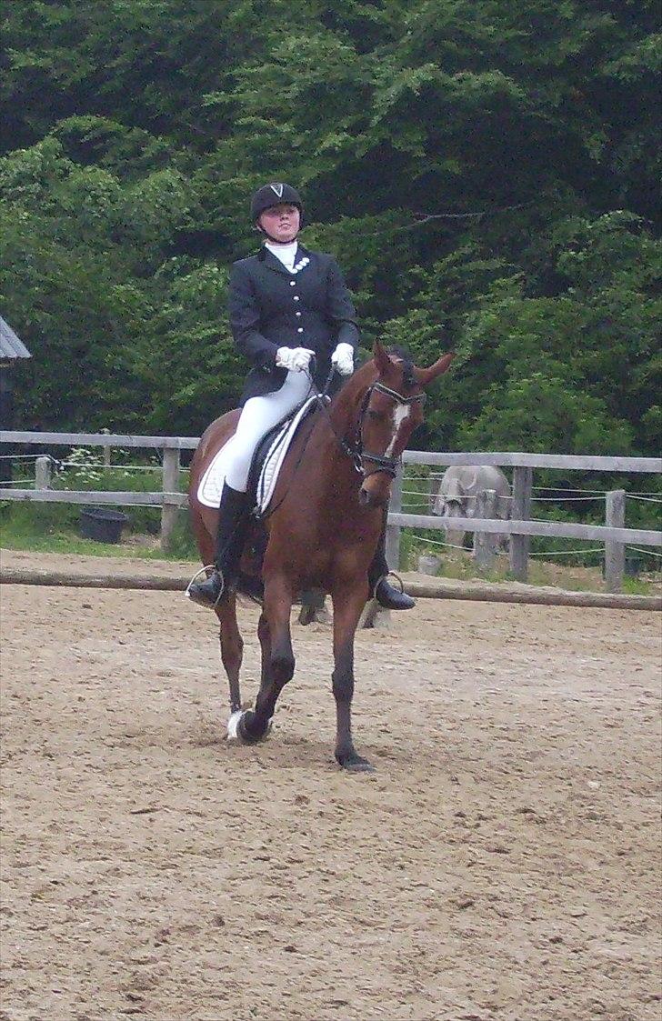 Stævne Ebeltoft Rideklub ;-) billede 13