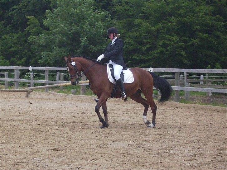 Stævne Ebeltoft Rideklub ;-) billede 14