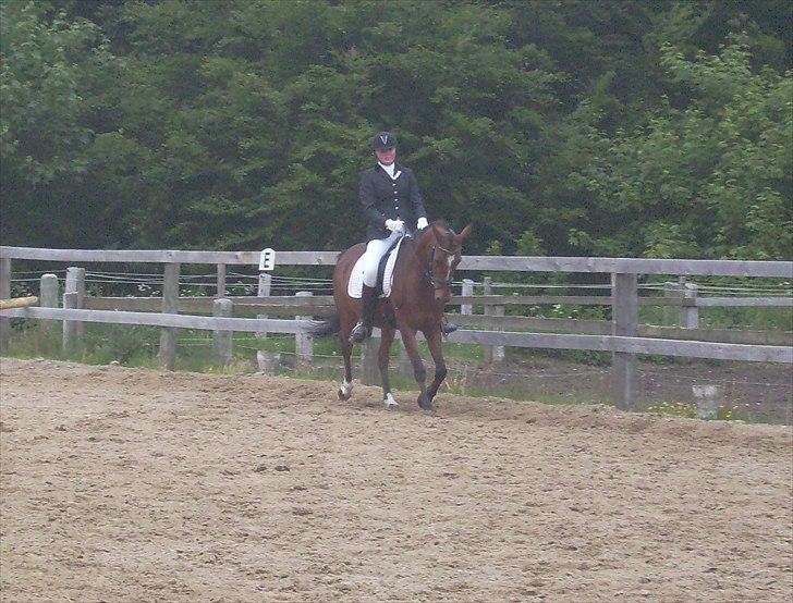 Stævne Ebeltoft Rideklub ;-) billede 15