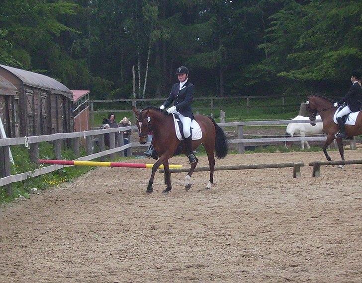 Stævne Ebeltoft Rideklub ;-) billede 17