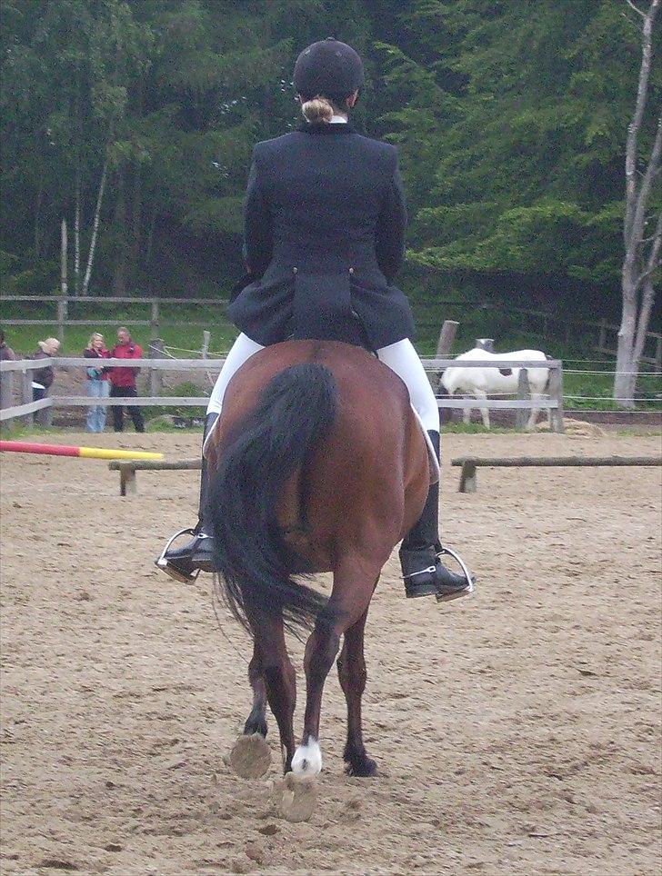 Stævne Ebeltoft Rideklub ;-) billede 19