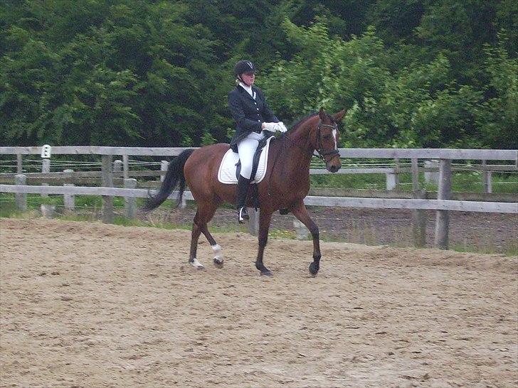 Stævne Ebeltoft Rideklub ;-) billede 21