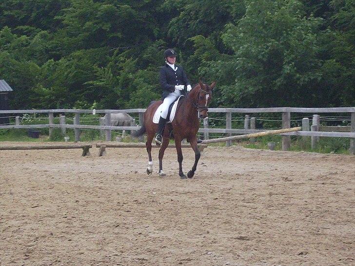 Stævne Ebeltoft Rideklub ;-) billede 22