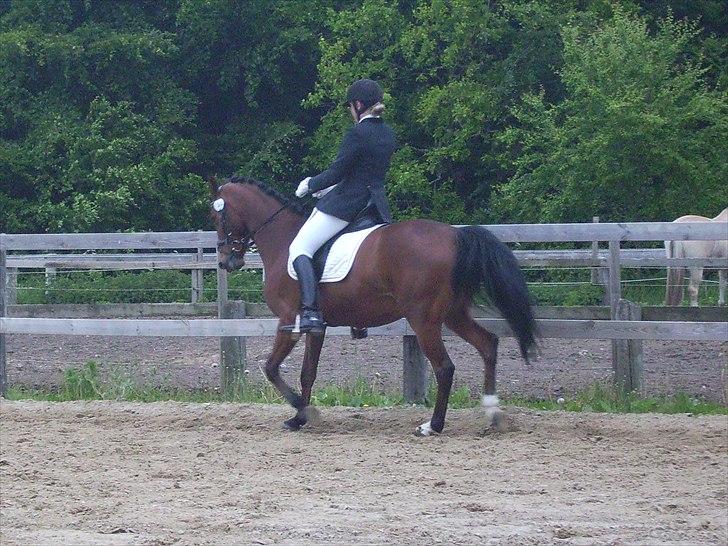 Stævne Ebeltoft Rideklub ;-) billede 23