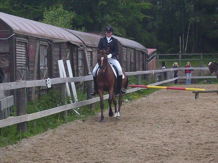 Stævne Ebeltoft Rideklub ;-) billede 24
