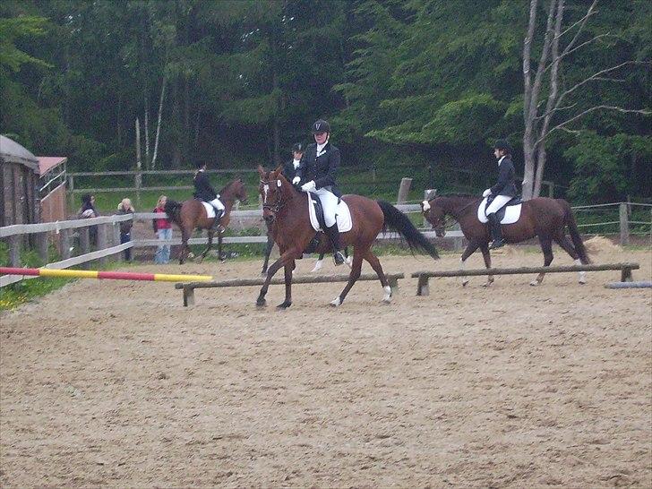 Stævne Ebeltoft Rideklub ;-) billede 25