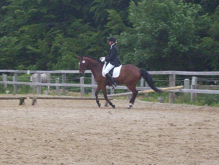 Stævne Ebeltoft Rideklub ;-) billede 26