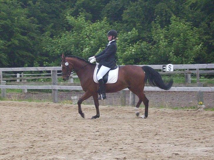 Stævne Ebeltoft Rideklub ;-) billede 27